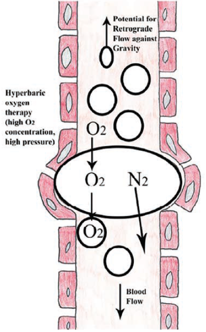 Kern-Fig4-CLD-Aug 2025.png 