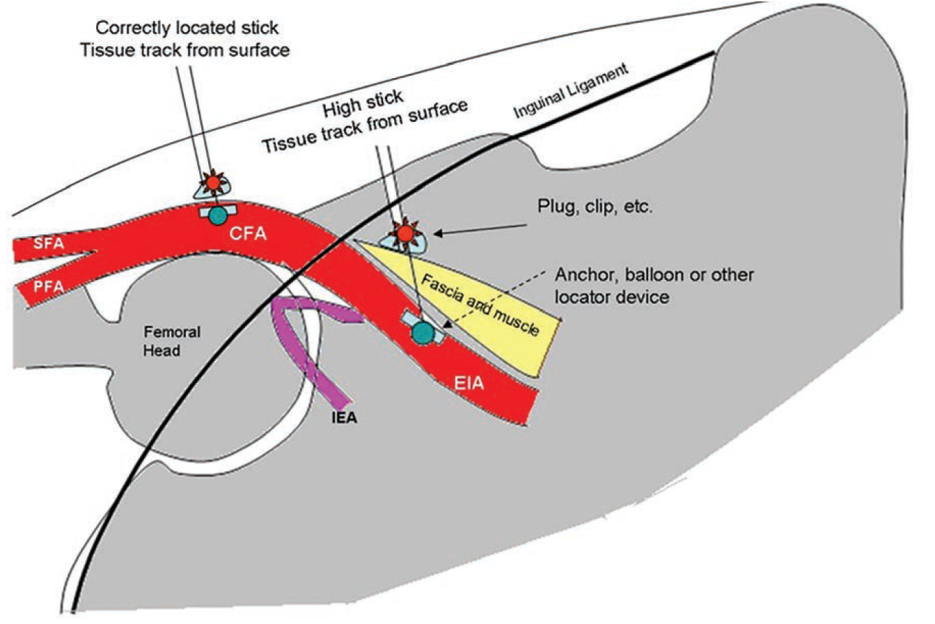 Kern-Fig4-CLD-Dec2024