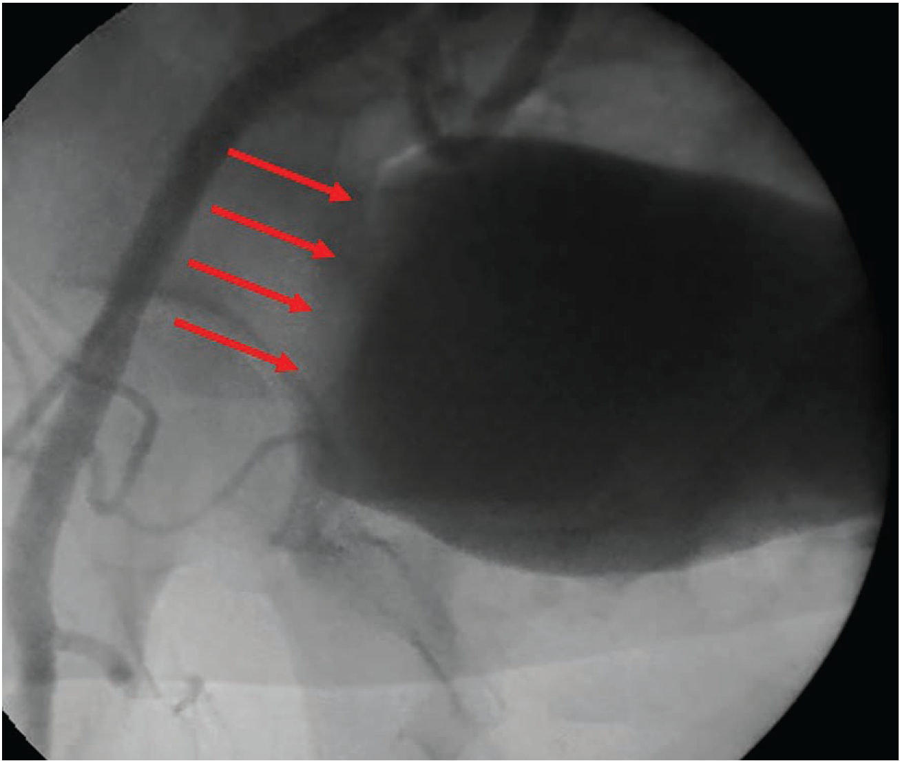 Kern-Fig6-CLD-Dec2024