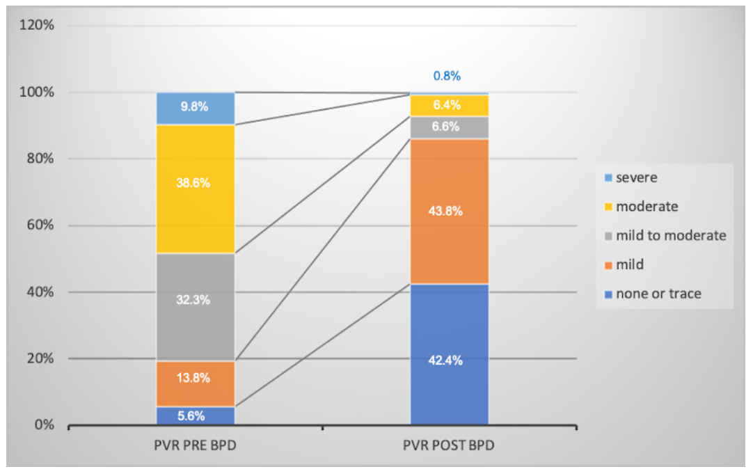 Kim Heart Valve Figure 2