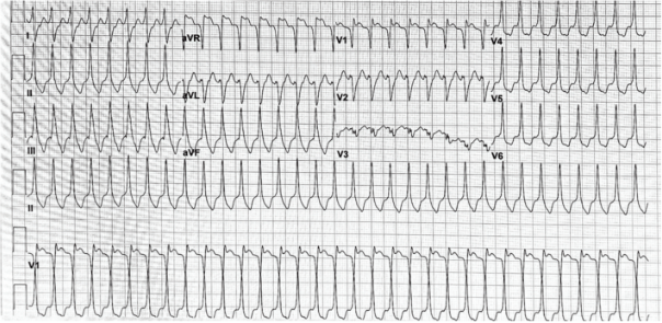 Knight - Fig 1 - July 2024
