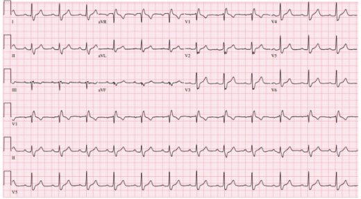 Knight - Fig 2 - July 2024