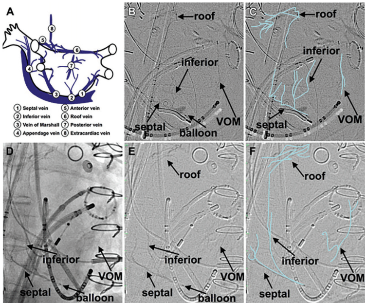 Koranne - Fig 1- May 2024