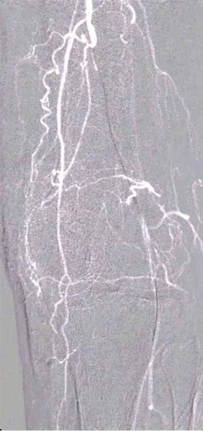 Kumar-Fig 1 - CLD-Aug 2025.png 