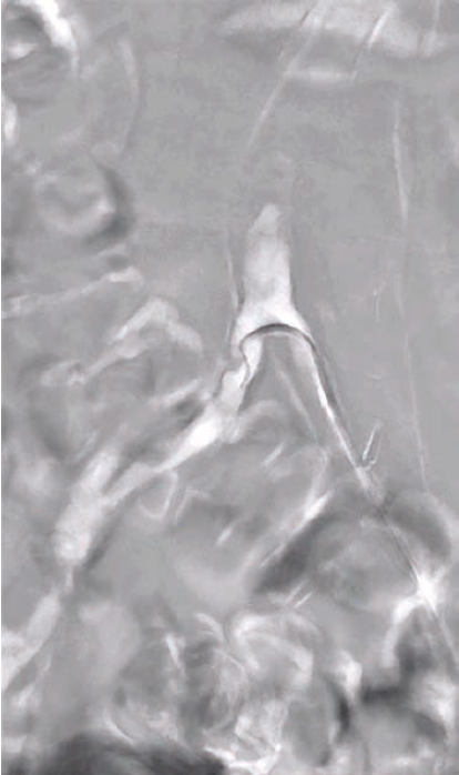 Kumar-Fig 2- CLD-Aug 2025.png 