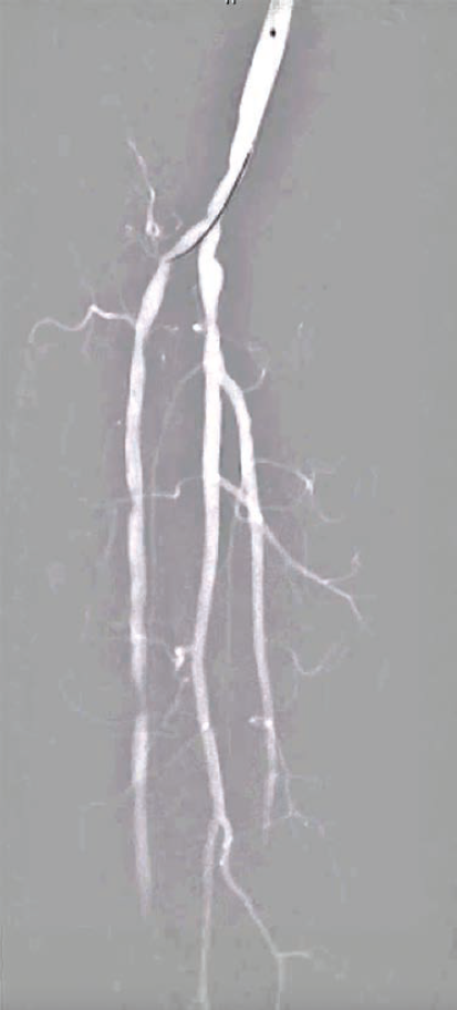 Kumar-Fig 4- CLD-Aug 2025.png 