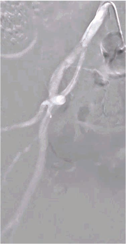 Kumar-Fig 5- CLD-Aug 2025.png 