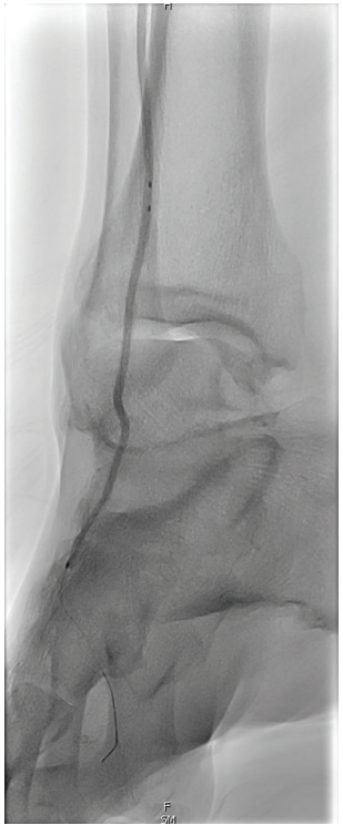 Kumar-Fig7-CLD-MarchApril 2026.png 