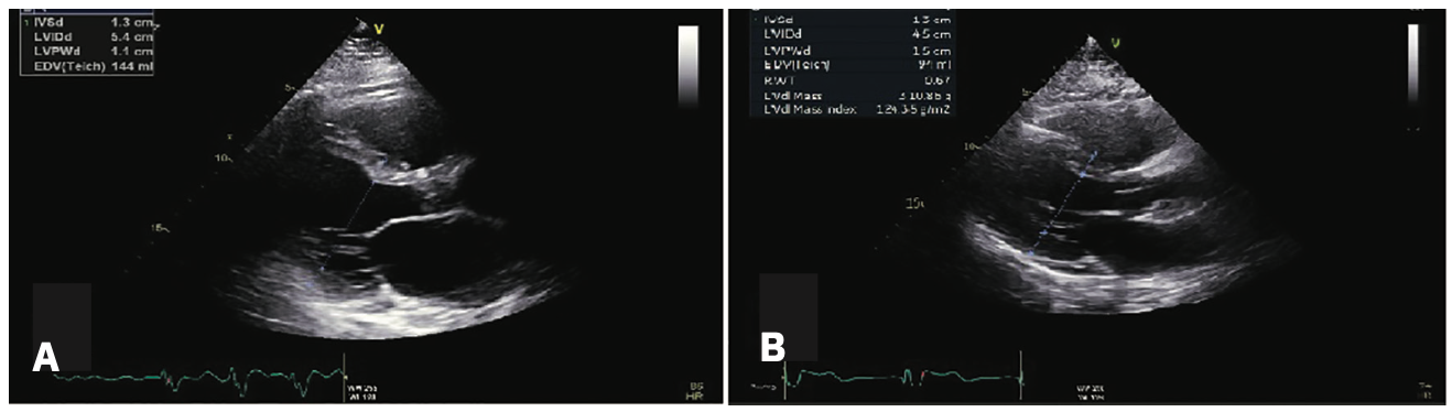 Kwaku Implantable Device Figure 2