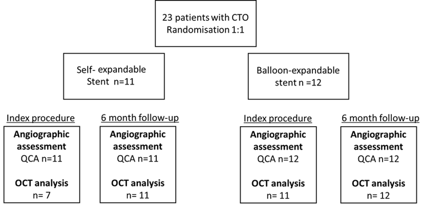Figure 1. Flow chart of the SXS-CTO study