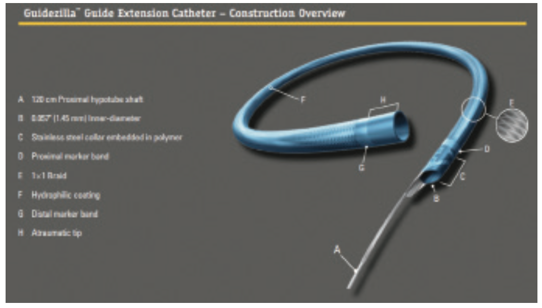 Lichaa Guide Catheter Figure 2