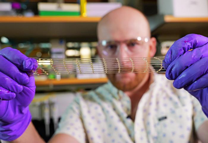 Matt Davidson, a research associate in the Burdick Lab, shows off a 3D-printed material that could be used for a variety of medical applications.   Credit  Casey Cass/CU Boulder