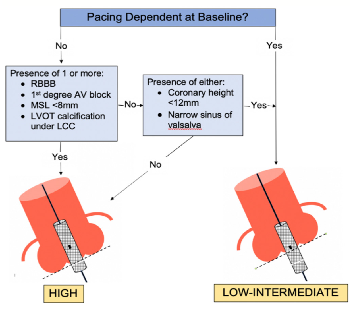 Mailey Transcatheter Figure 8