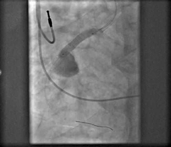 Figure 8