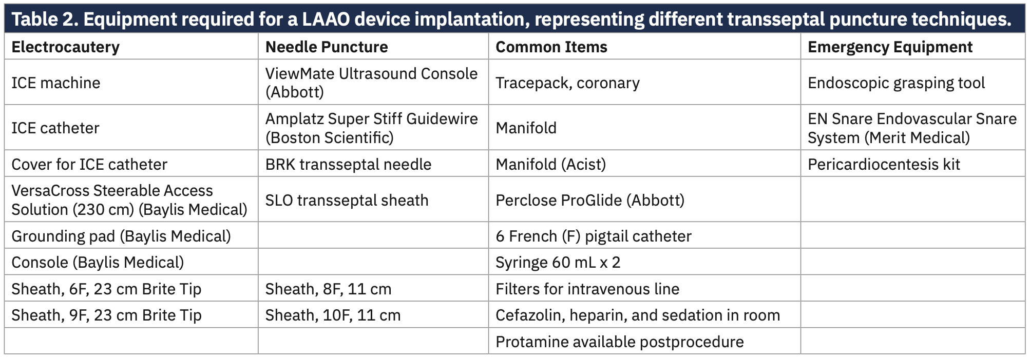 Manyam Left Atrial Appendage Table 2