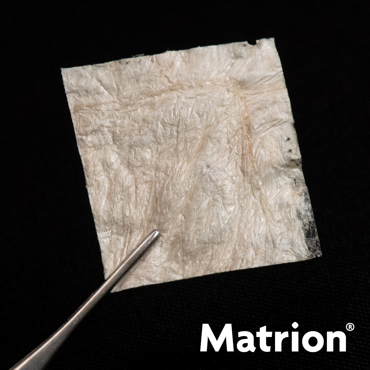 Matrion
