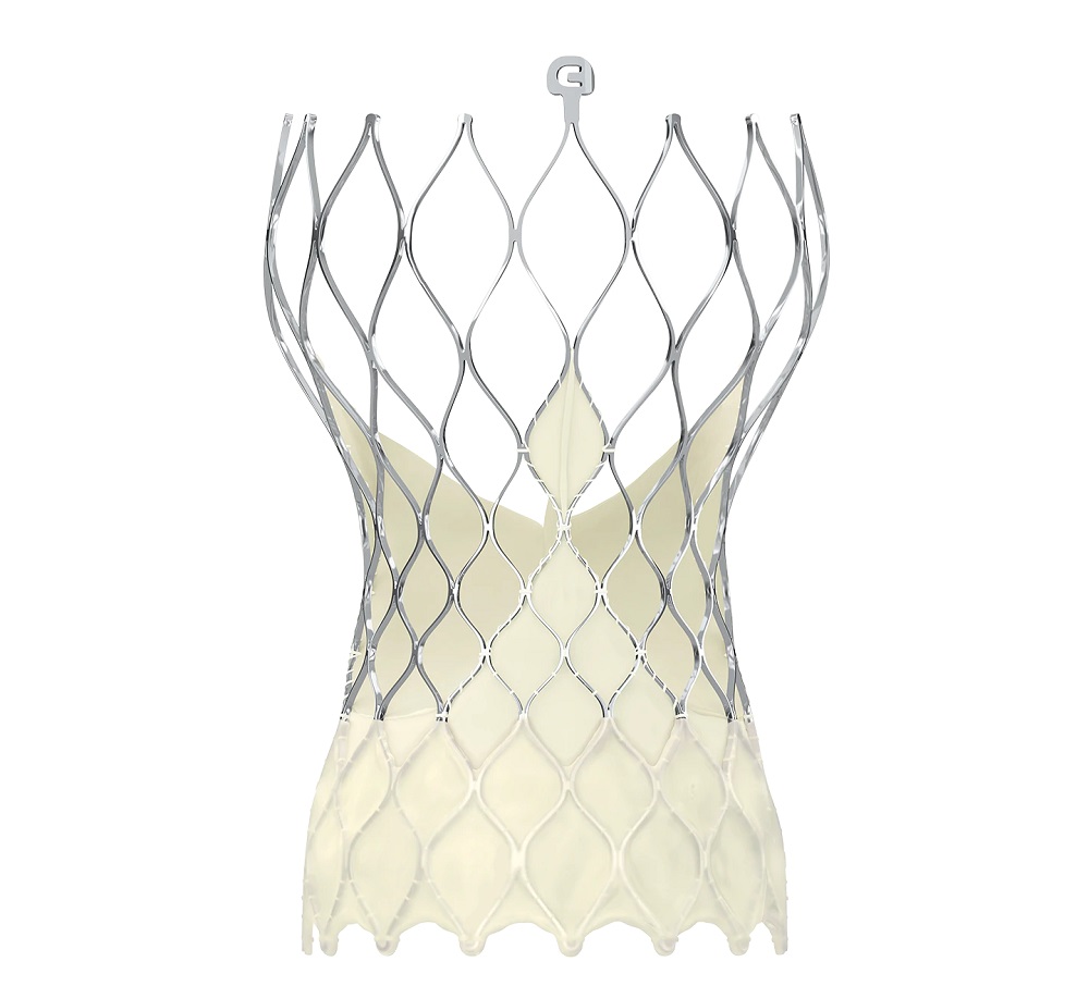  Medtronic Evolut PRO