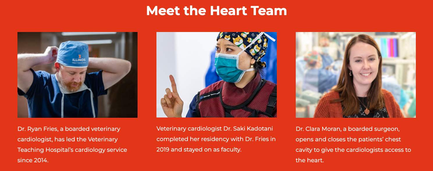 Meet the Heart Team