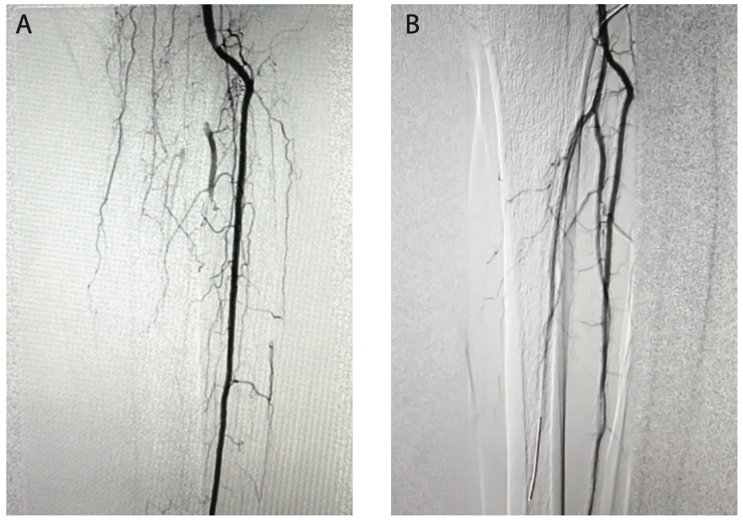 Mehta Rose Medical Center Figure 1AB