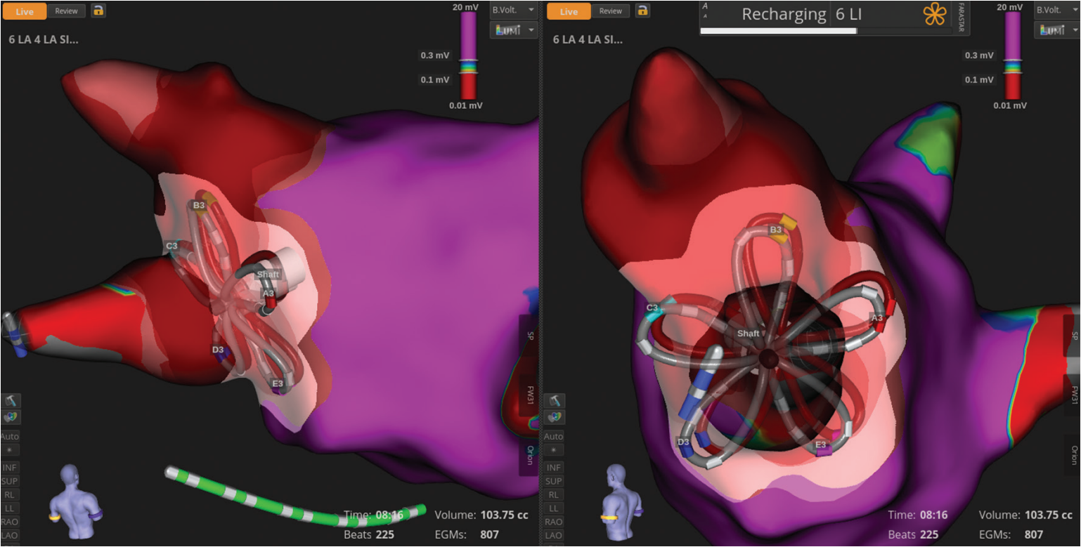 Meyers-Fig3-EPLD-July 2025_0.png 