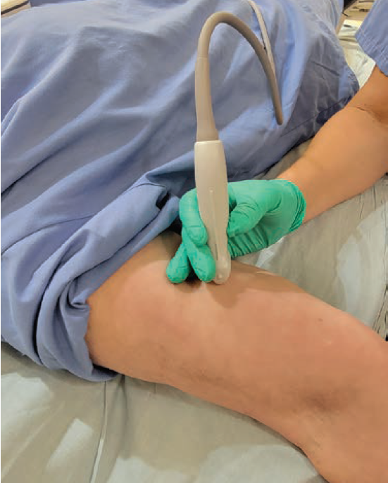 Miranda-Fig3-CLD-April 2025.png 