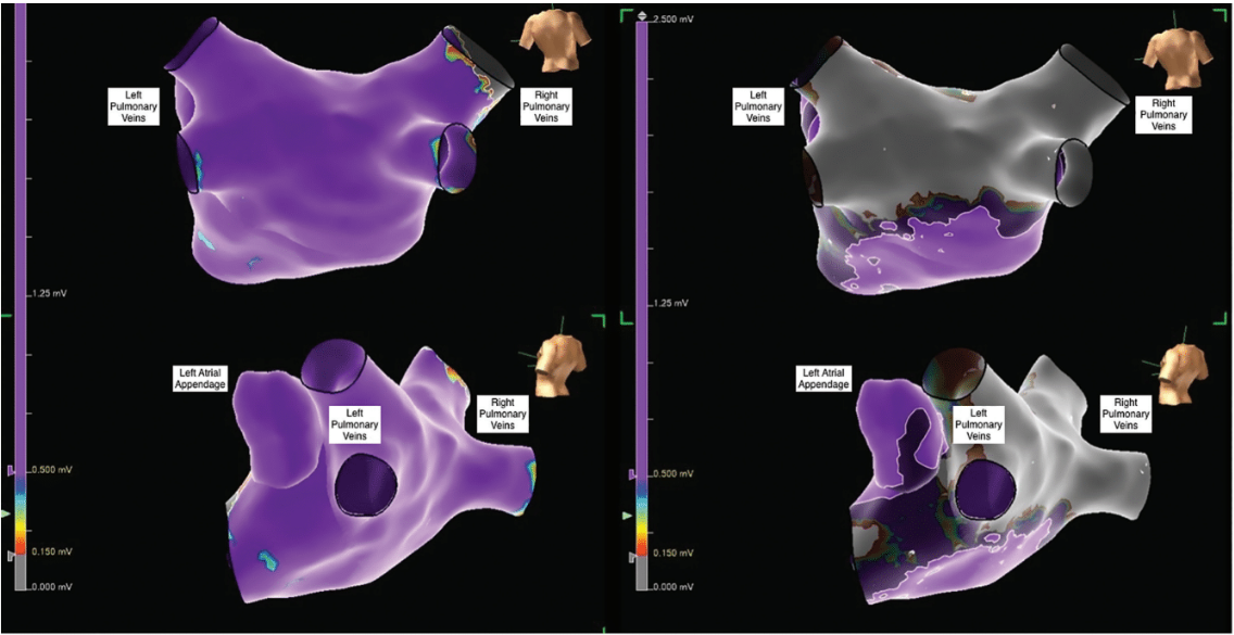 Modi - Fig 4 - Oct 2024