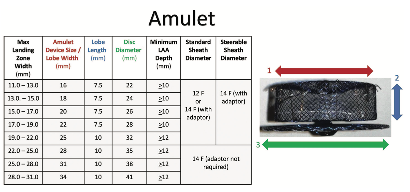 Mohan Left Atrial Appendage Figure 3
