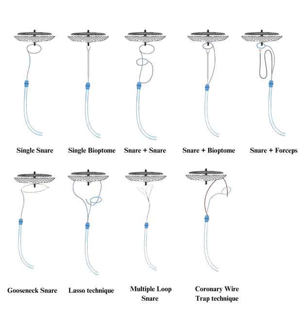 Figure 1. Various techniques 