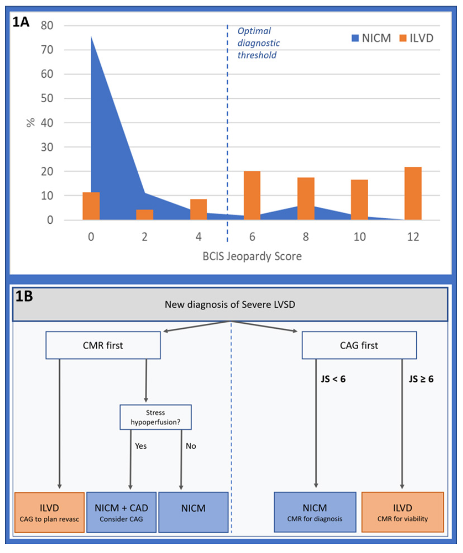 Morgan Systolic Dysfunction Figure 1