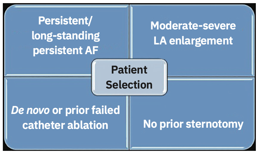 Morris Hybrid Ablation Figure 2