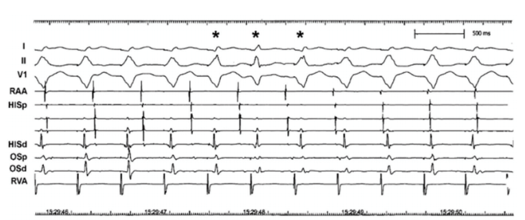 Moulton - June 2024 - Fig 13