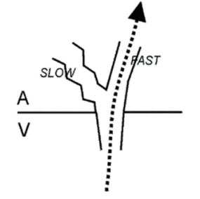 Moulton - June 2024 - Fig 3
