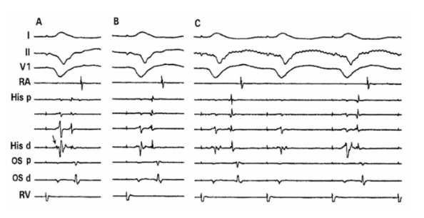 Moulton - June 2024 - Fig 6