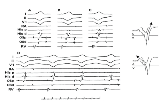 Moulton - June 2024 - Fig 7