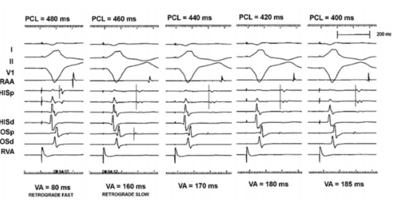 Moulton - June 2024 - Fig 8