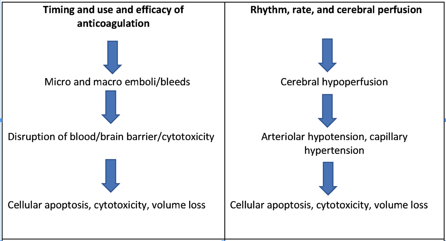 Moulton Afib-Dementia Connection Figure 1