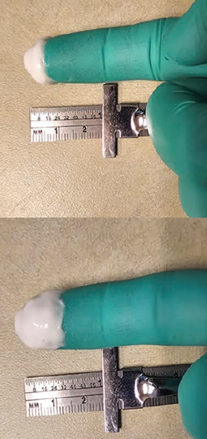 Movahed-Fig 1-CLD-Aug 2025.png 