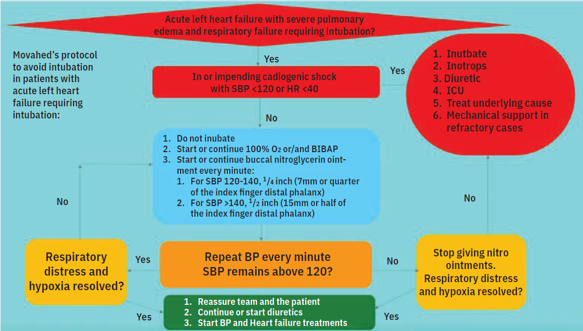 Movahed-Fig 2-CLD-Aug 2025.png 