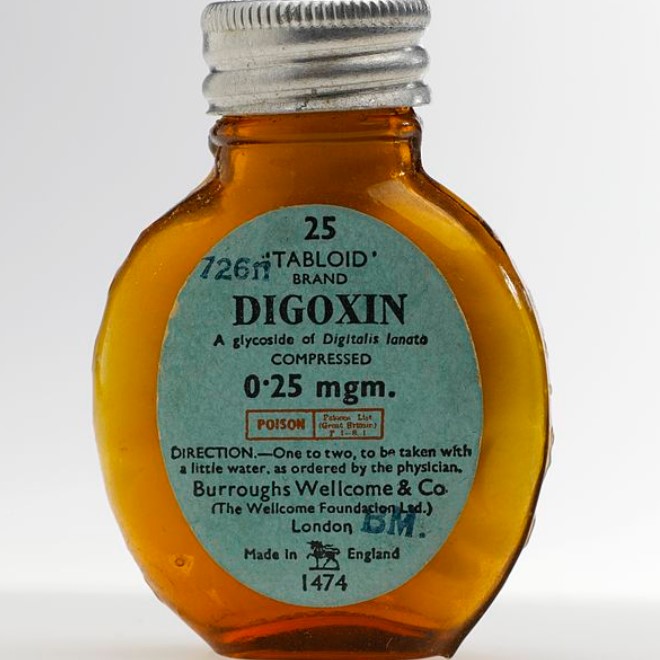 Digoxin is widely used to treat heart failure and irregular heartbeats. (Photo: Wellcome Images/Wikimedia Commons) 