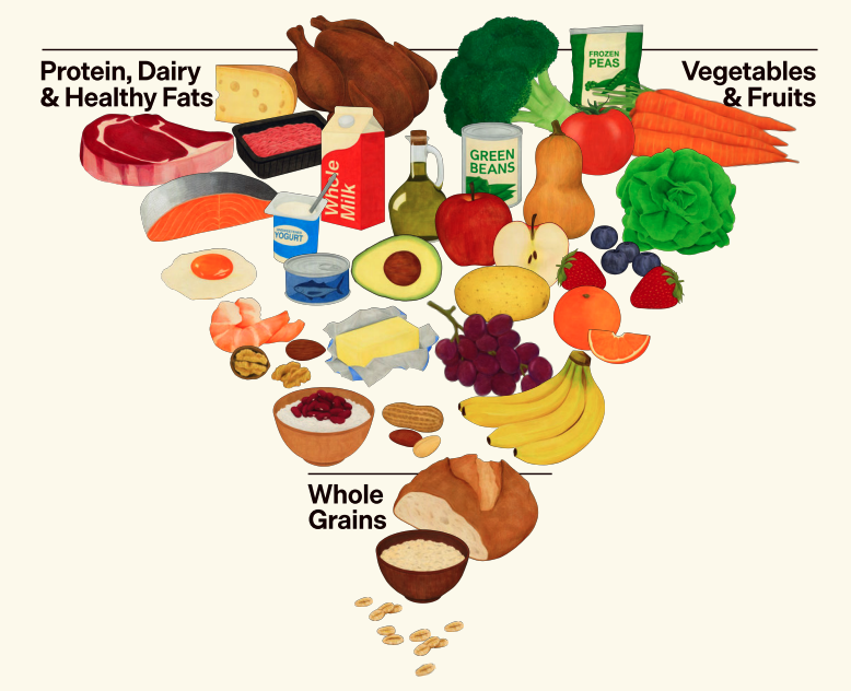 Figure 1. Food pyramid illustrating 2025-2030 recommended dietary patterns. Source: RealFood.gov, U.S. Department of Agriculture and U.S. Department of Health and Human Services.