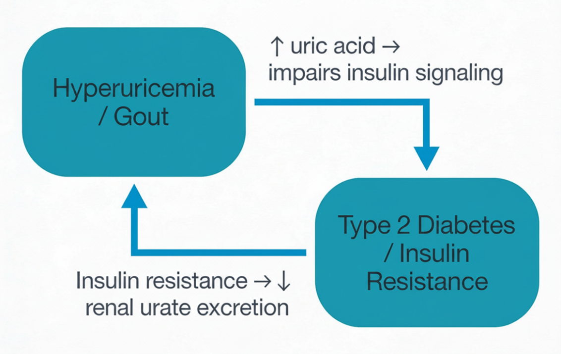 Figure 1. The bidirectional relationship of hyperuricemia and insulin resistance