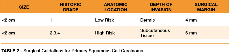 TABLE 2 - Surgical Guidelines for Primary Squamous Cell Carcinoma