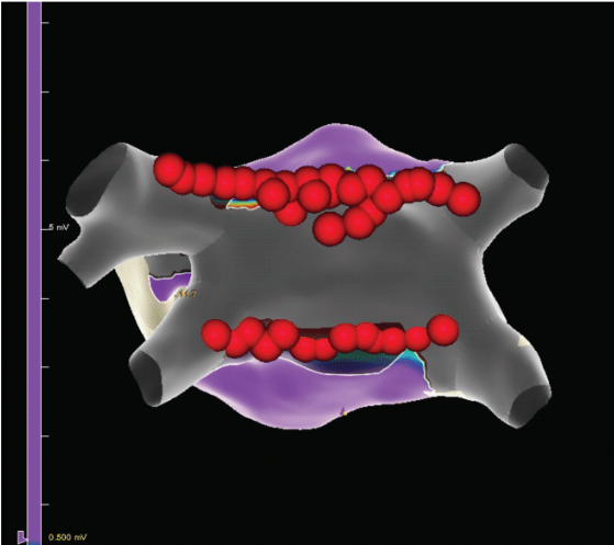 Parvathaneni - Fig 3 - August 2024