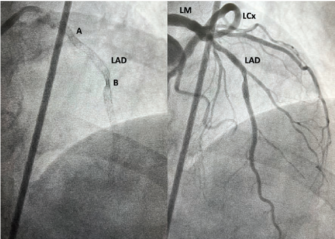 Patel Fig 1 July 2024