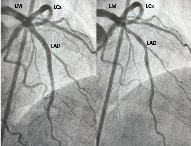 Patel Fig 4 July 2024
