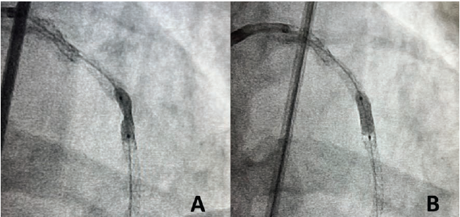 Patel Fig 3 July 2024