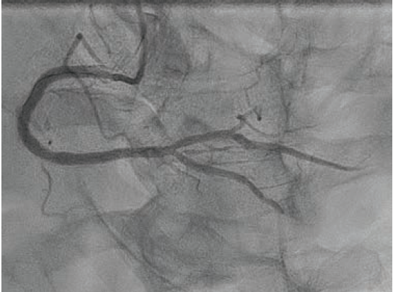 Patel-Fig6-CLD Nov 2025.png 