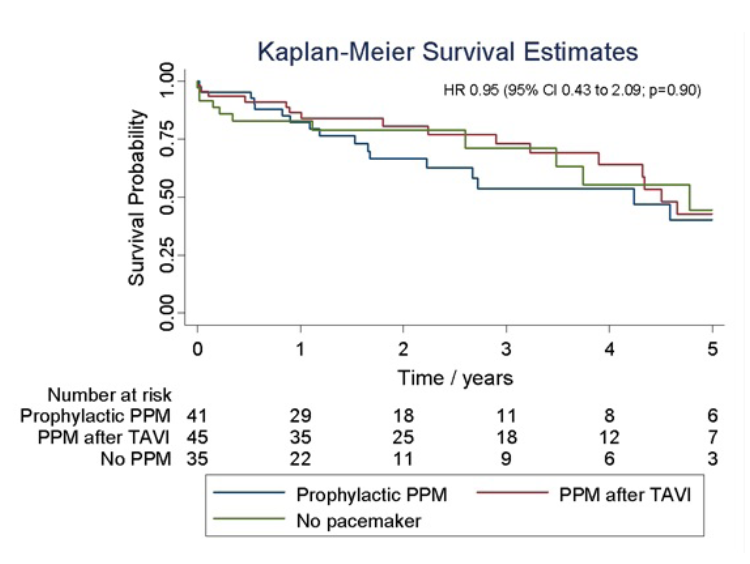 Pavitt TAVR Figure 2