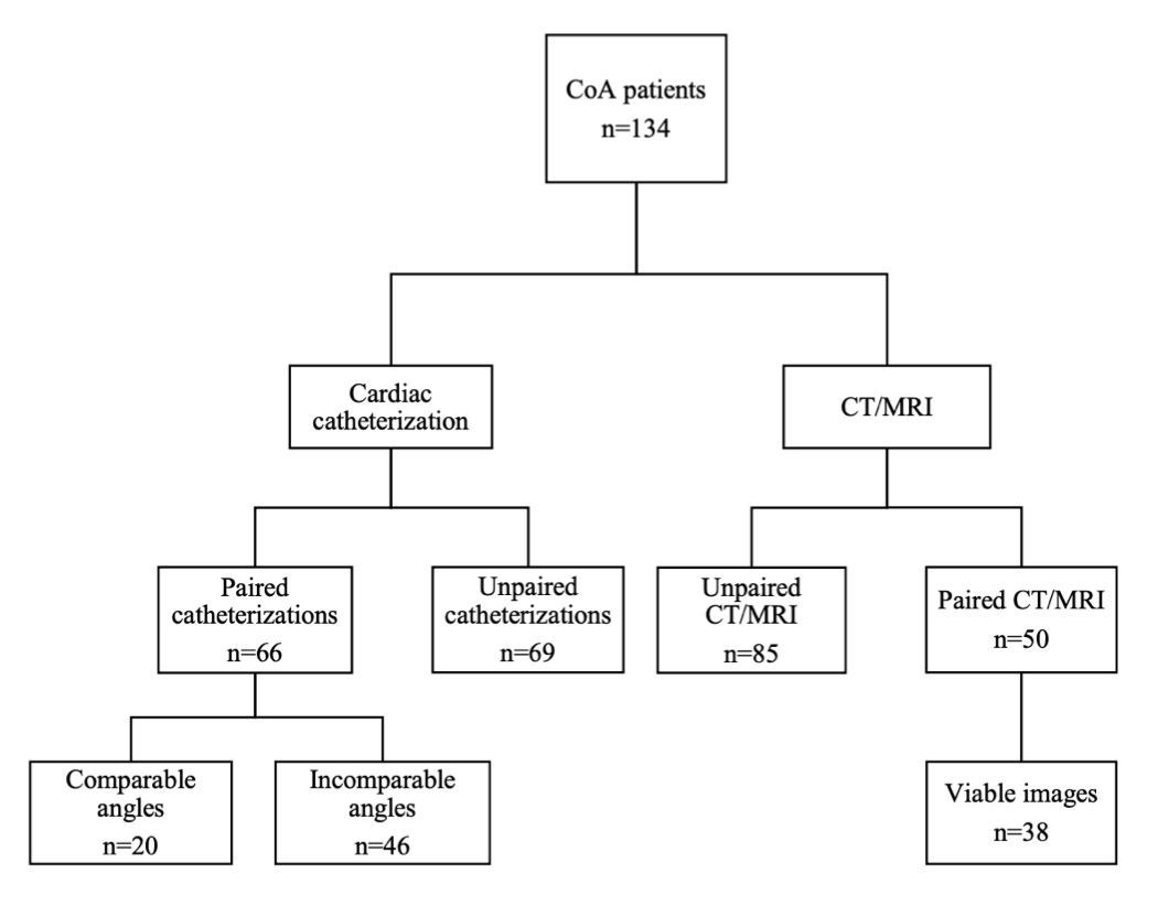 Pei Intravascular Stent Therapy Figure 1