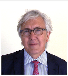 Prof Javier Escaned